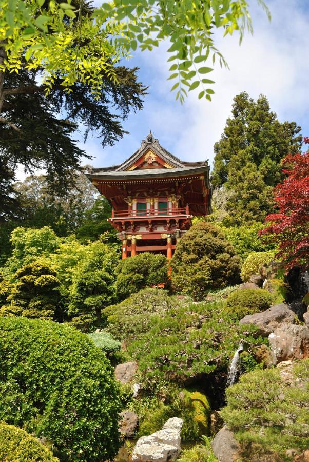 Golden Gate Park Suite San Francisco Eksteriør billede