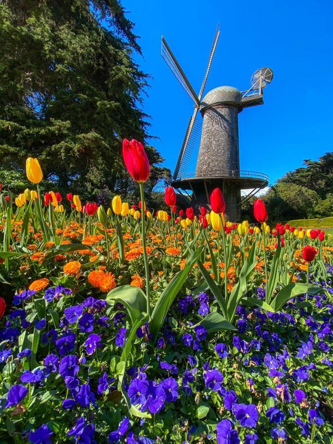 Golden Gate Park Suite San Francisco Eksteriør billede