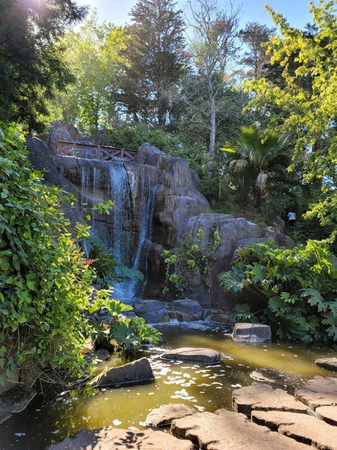Golden Gate Park Suite San Francisco Eksteriør billede