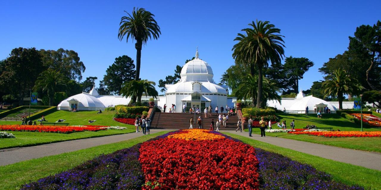 Golden Gate Park Suite San Francisco Eksteriør billede